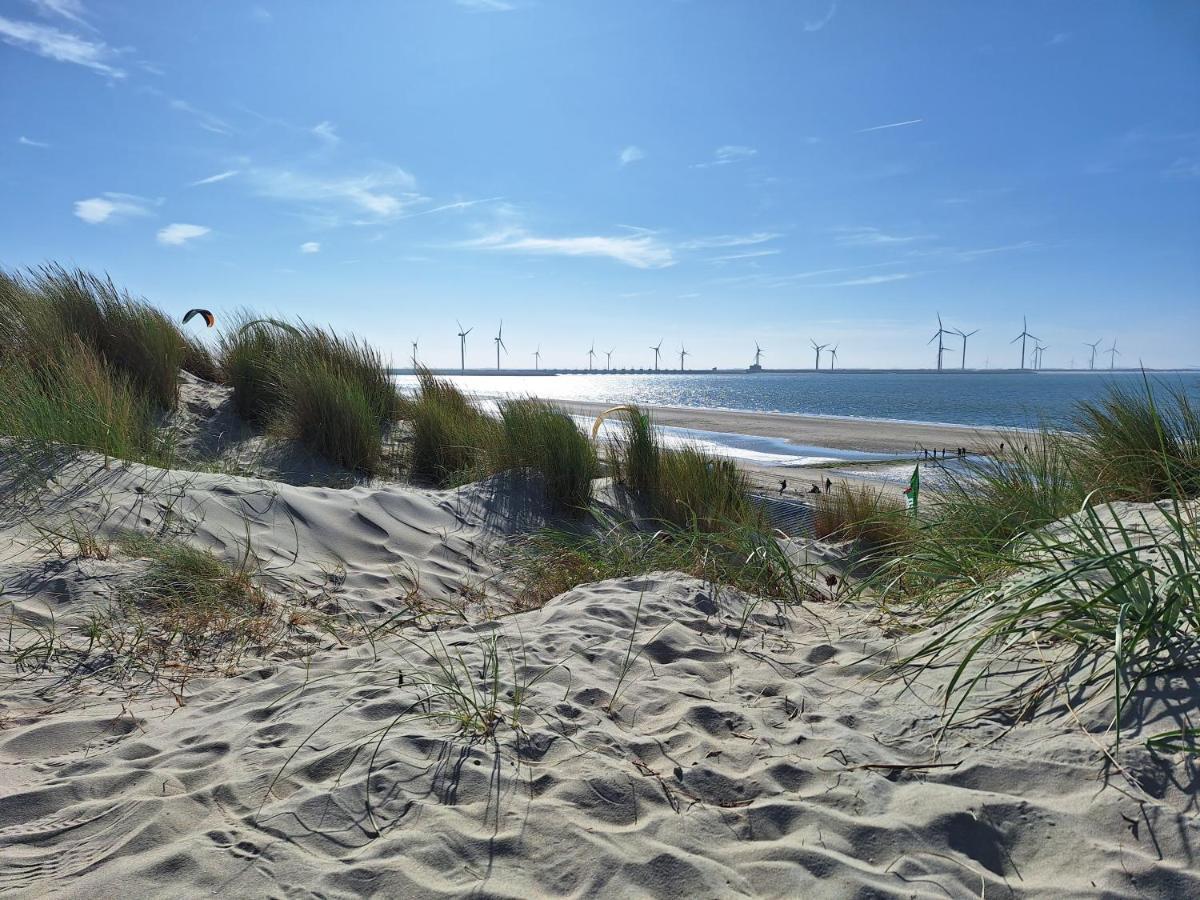 B&B Zeeuws Knoopje Burgh-Haamstede Exteriör bild